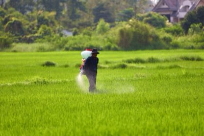 泰國經濟成長預測：2026 年 GDP 預期與挑戰解析