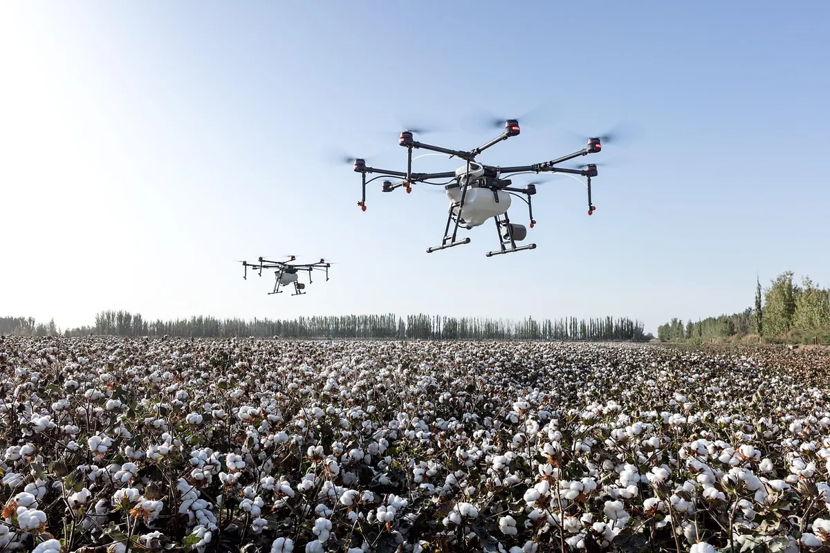 agriculture, drone, dji agriculture, dji, farming, farmland, plant protection drone, plant protection, extremely fly, cotton, cotton fields, drone, drone, drone