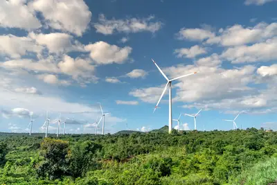 Tecnología verde Tailandia: cómo impulsa la bioenergía renovable