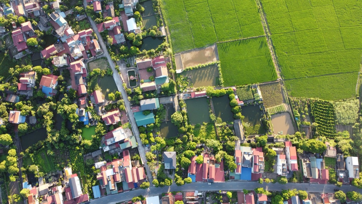 Thai rural village with traditional house and rice field